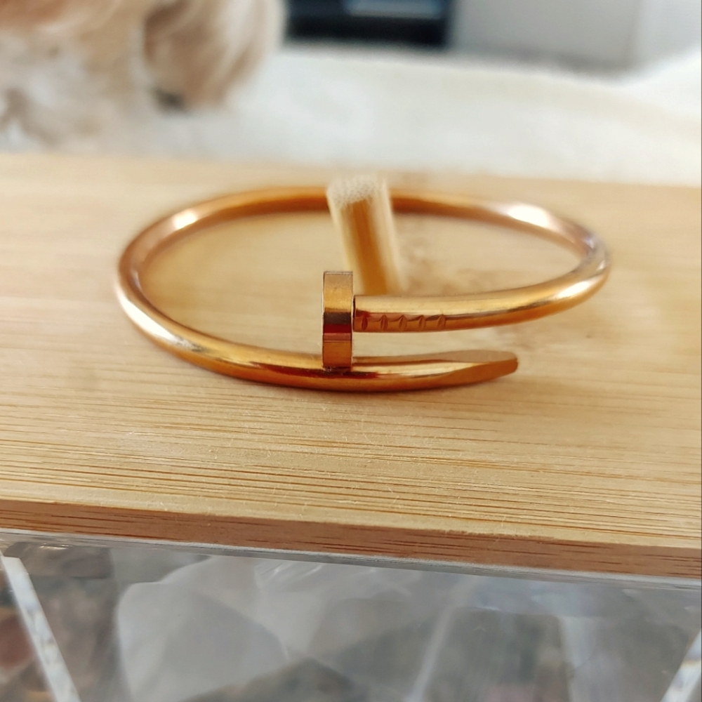 Rose Gold plate over Steel Inspired Bangle